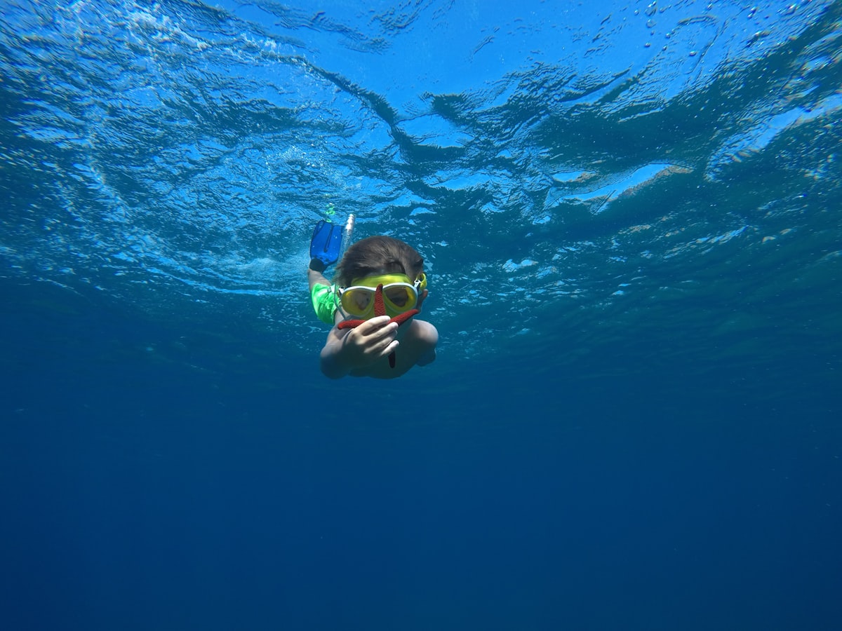 A surfer paddling toward an incoming wave, preparing to dive beneath it