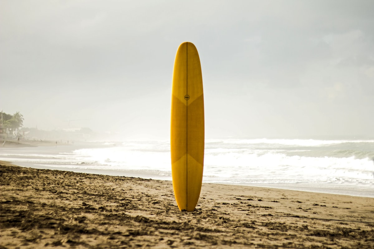 A surfer evaluating conditions with quiet patience — adapting your approach to a new wave is what separates a frustrating session from a great one