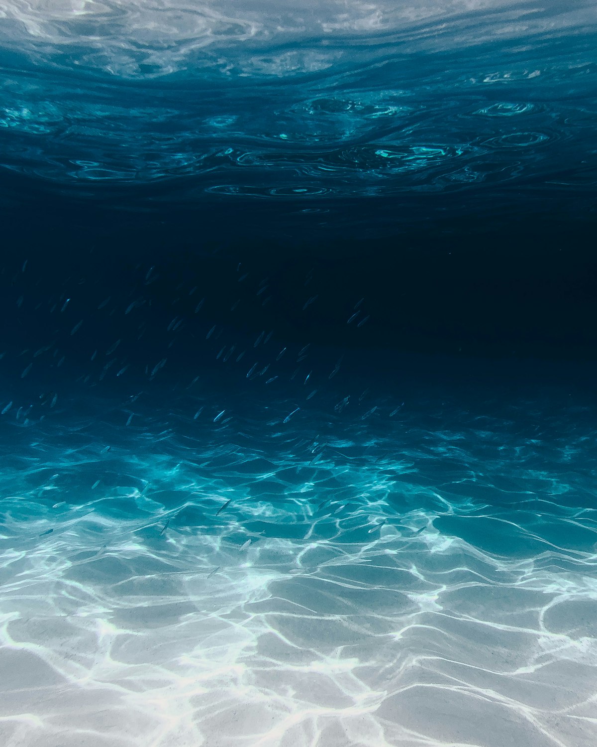 A plunging wave throwing its lip forward to form a hollow barreling tube