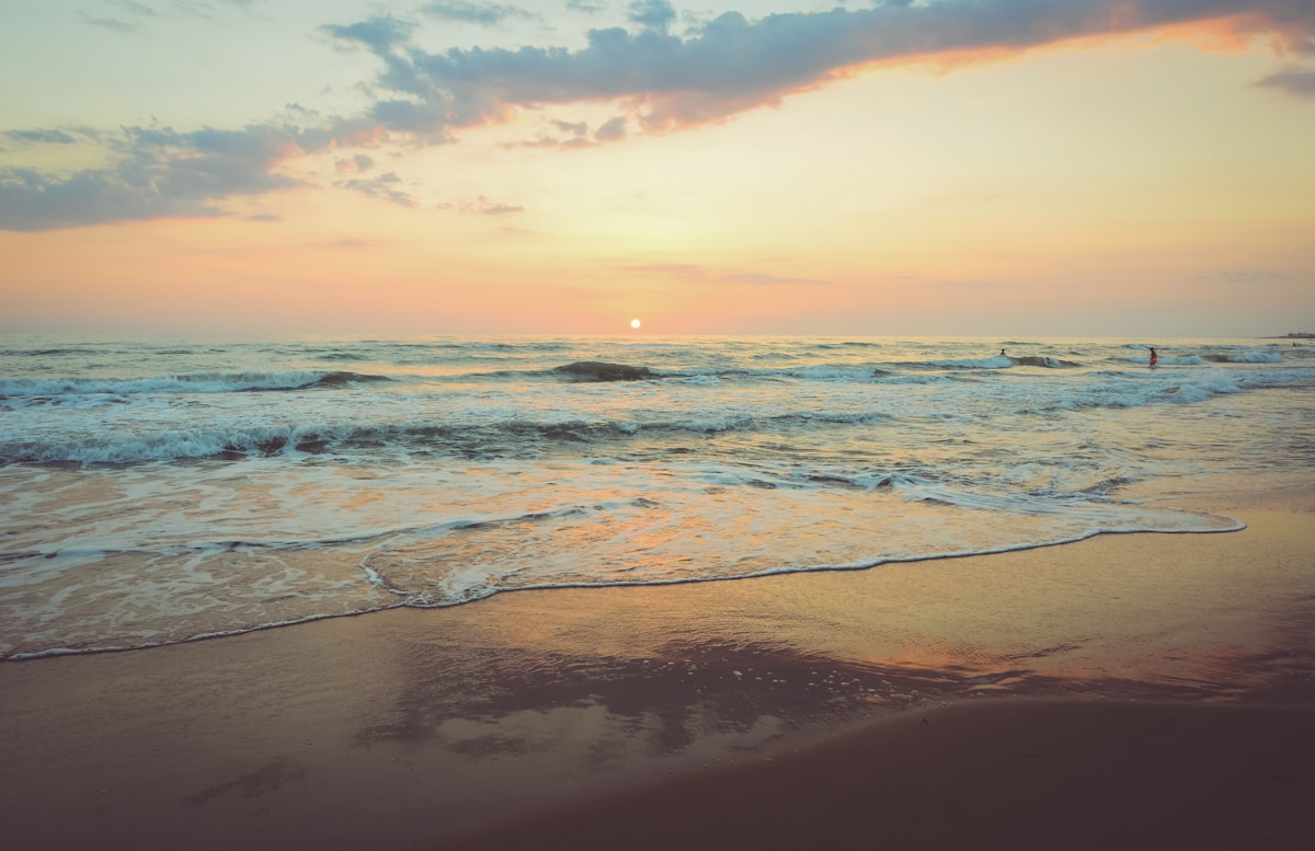 A surfer paddling out into clean small waves with the beach in the background