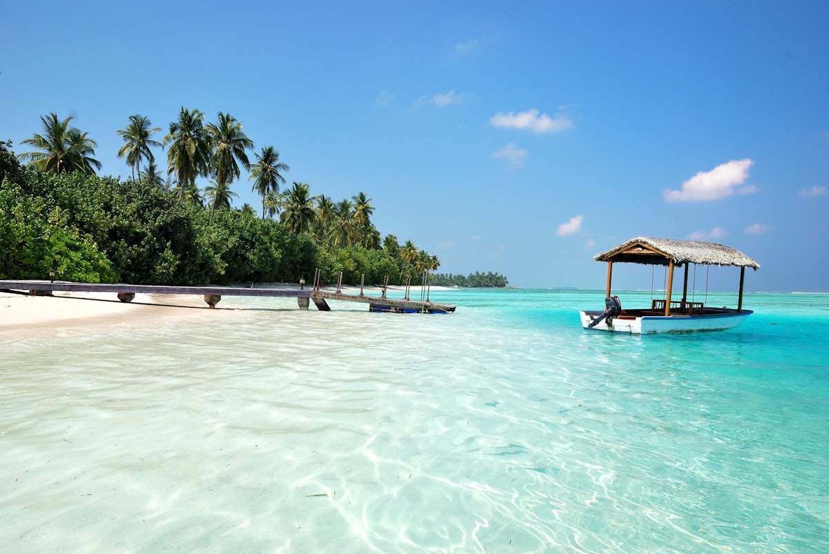 A tropical lagoon with palm trees, a wooden jetty, and a thatched-roof boat over clear turquoise water